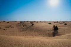 Dubai Desert Dune Bashing