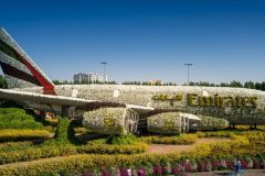 Dubai Miracle Garden Emirates A380