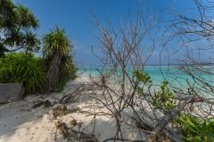 Soneva Jani Island Beach with lush vegetation