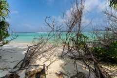 Tropical and lush beach overlooking the breaking waves at Soneva Jani